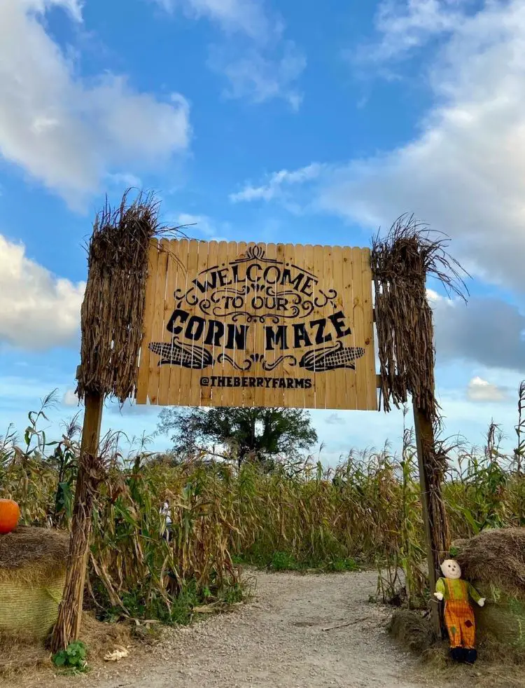 Corn Maze harvest festivals South Florida