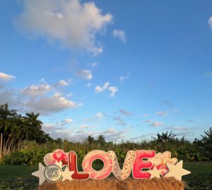 planes para san valentín en miami 015