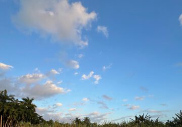 planes para san valentín en miami 015