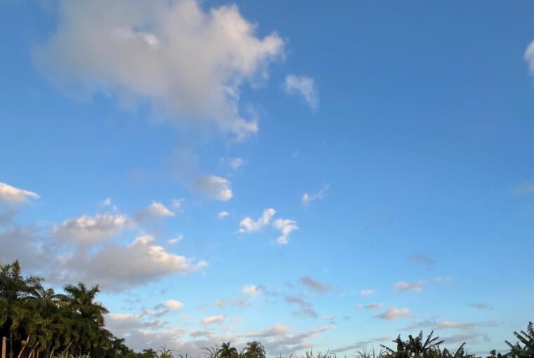 planes para san valentín en miami 015