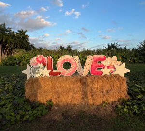 planes para san valentín en miami 015 copy2
