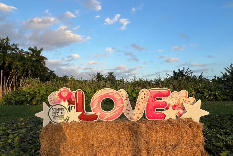 planes para san valentín en miami 015 copy2