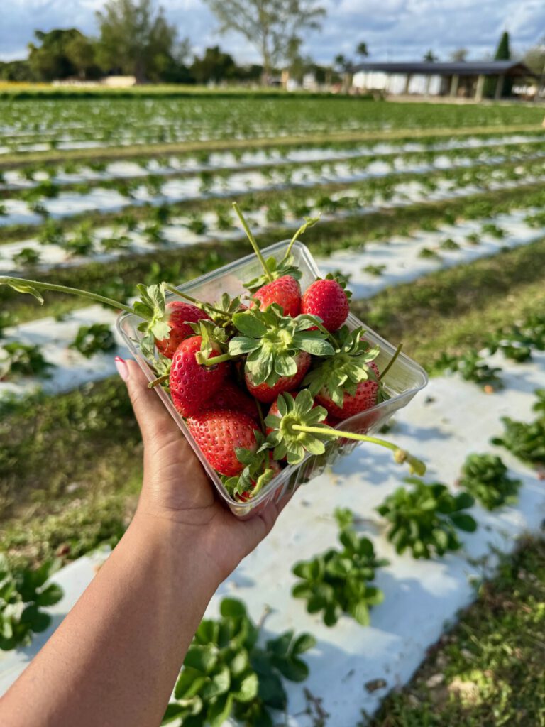 planes para san valentín en miami 04
