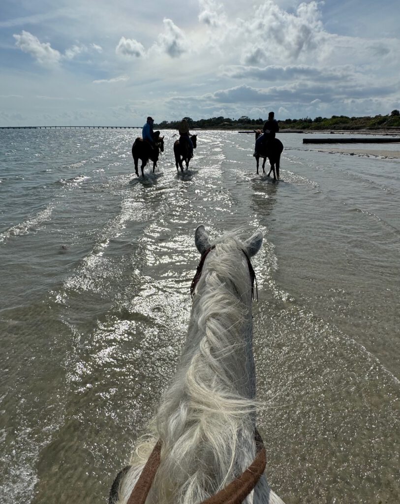planes para san valentín en miami 05
