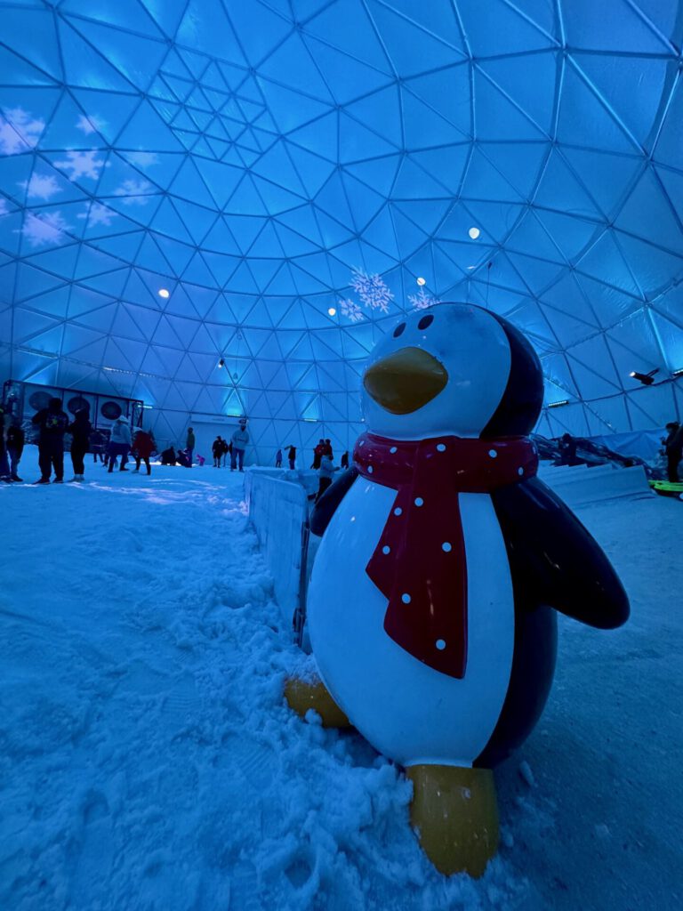 snowcat ridge el parque de nieve en florida que tienes que visitar 01