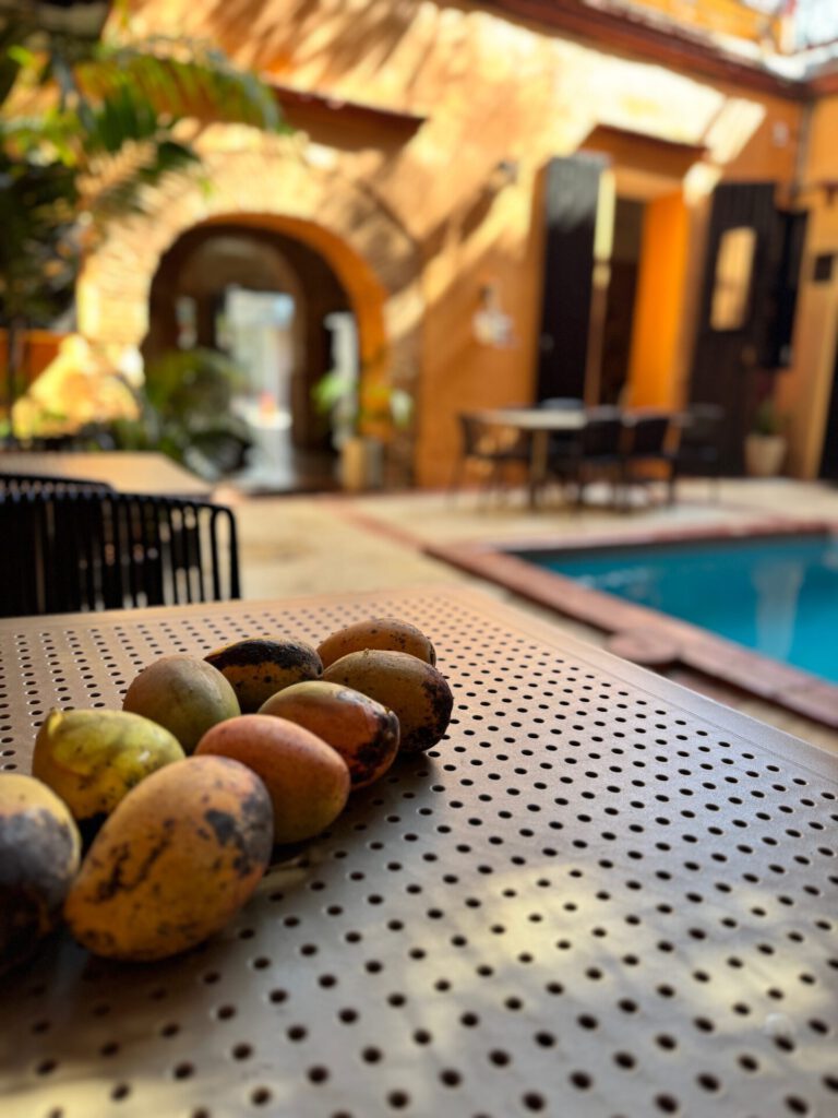 que hacer en república dominicana en una semana 0