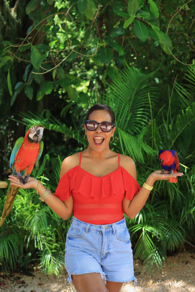 que hacer en república dominicana en una semana 011